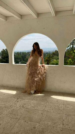 Hailee Steinfeld photo 1559