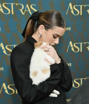 Hailee Steinfeld photo 1612