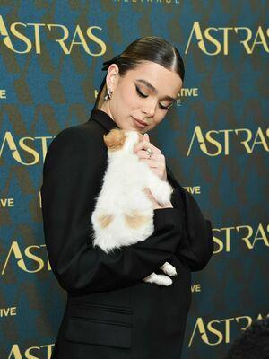 Hailee Steinfeld photo 1613