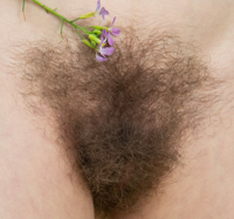 Hairy Women photo 1788