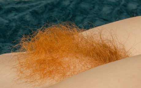 Hairy Women photo 1879