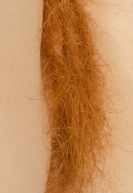 Hairy Women photo 1889