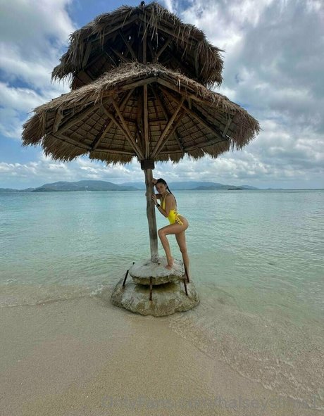 Halseyslims1 photo 16