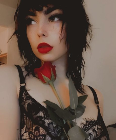 Halthewizard photo 2