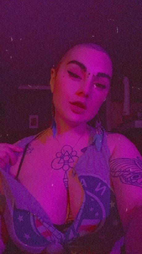 Hammerheadneko photo 20