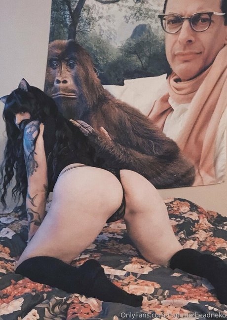 Hammerheadneko photo 22