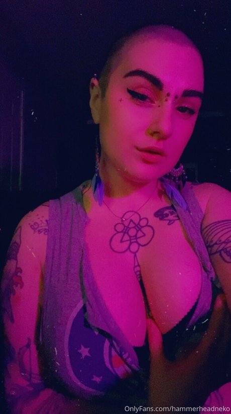 Hammerheadneko photo 45