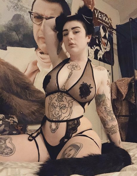 Hammerheadneko photo 60