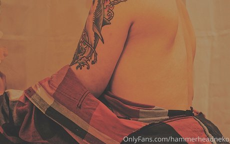 Hammerheadneko photo 68