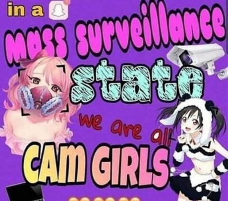 Hammerheadneko photo 74