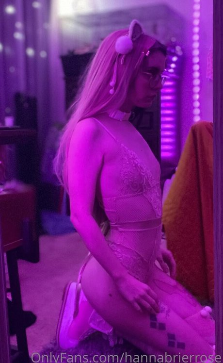 Hannabrierrose photo 1