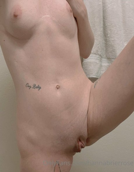 Hannabrierrose photo 7