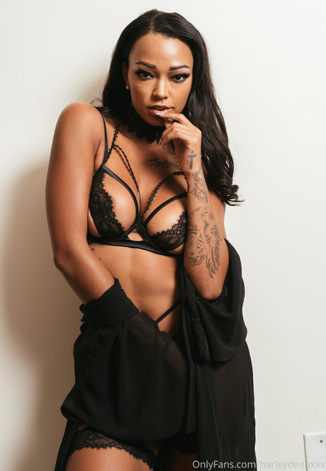 Harley Dean photo 234