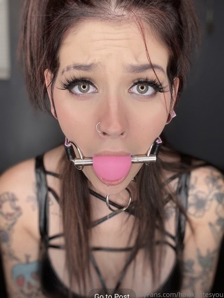 Hawkhatesyou photo 31