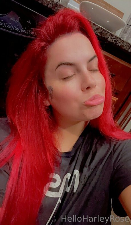 Helloharleyrose photo 394