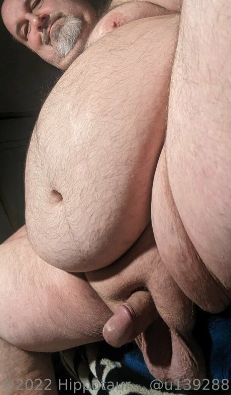Hippotaur photo 4