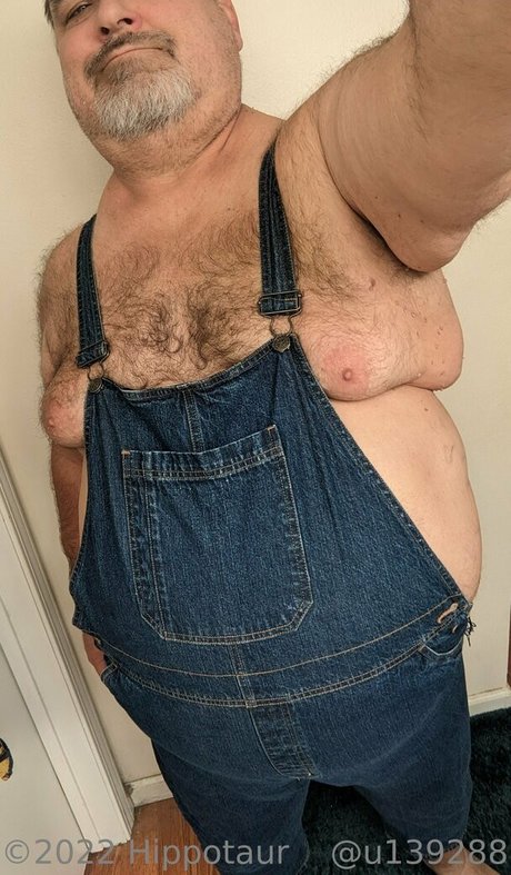 Hippotaur photo 11