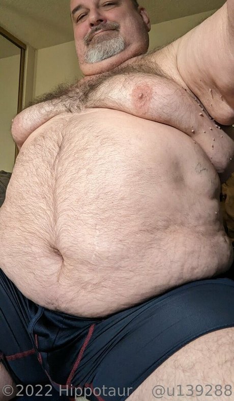 Hippotaur photo 15