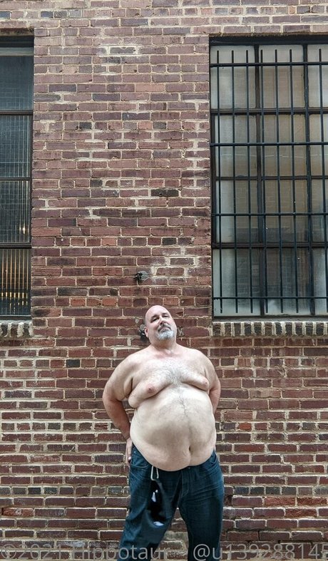 Hippotaur photo 18