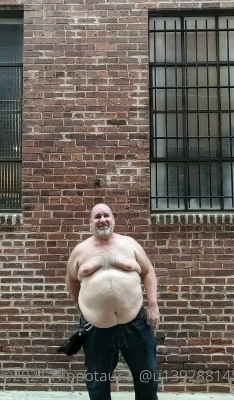 Hippotaur photo 25