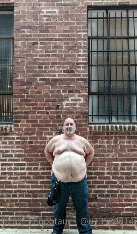 Hippotaur photo 26