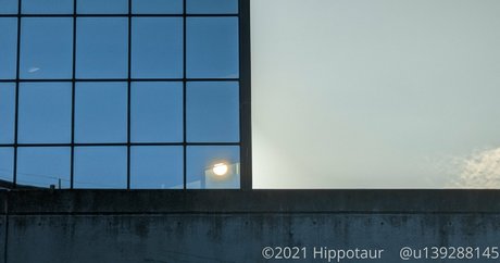 Hippotaur photo 28