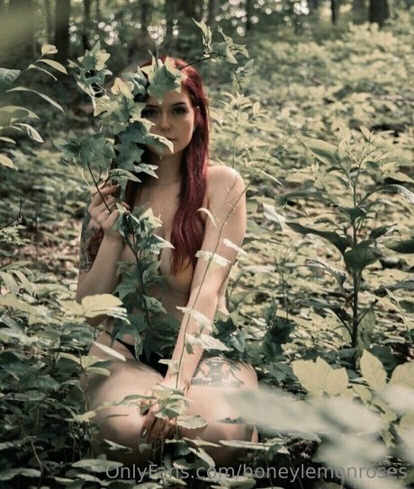 Honeylemonroses photo 2