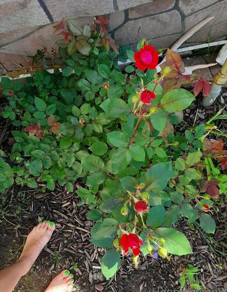 Hoopinghippie23 photo 66