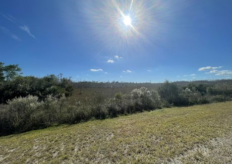 Iambigduch photo 101