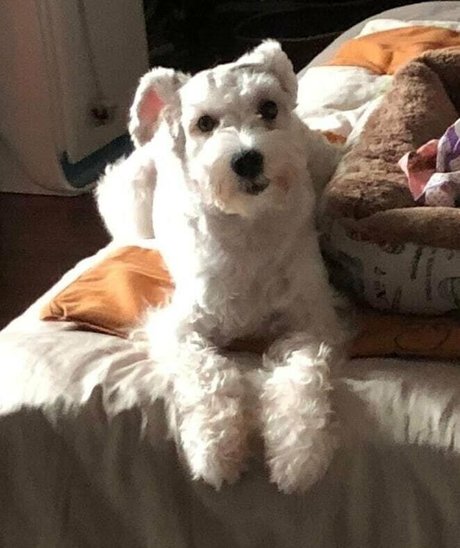 Iamdorasnowfree photo 175