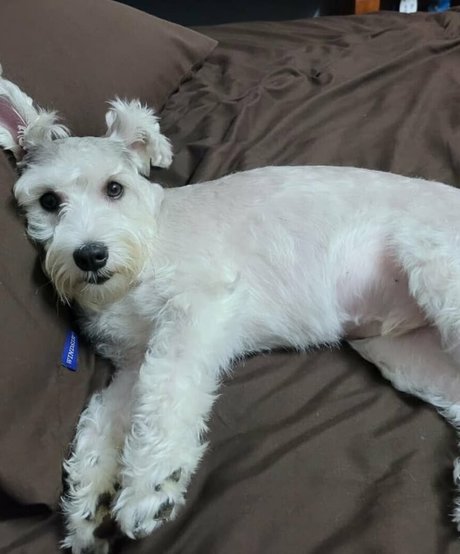 Iamdorasnowfree photo 252