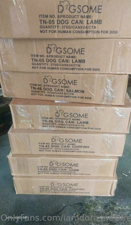 Iamdorasnowfree photo 292