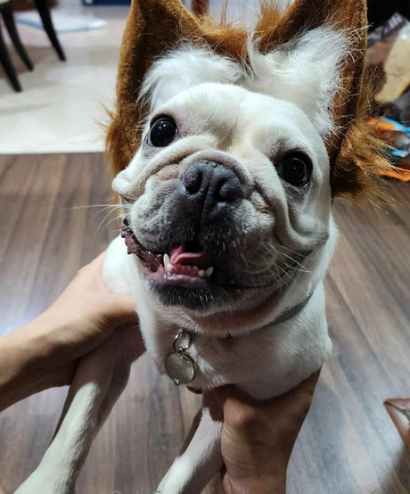 Iamdorasnowfree photo 357