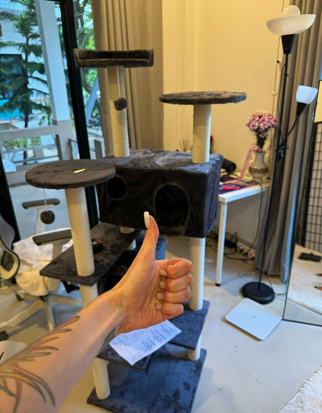 Iamvirtuallady photo 9