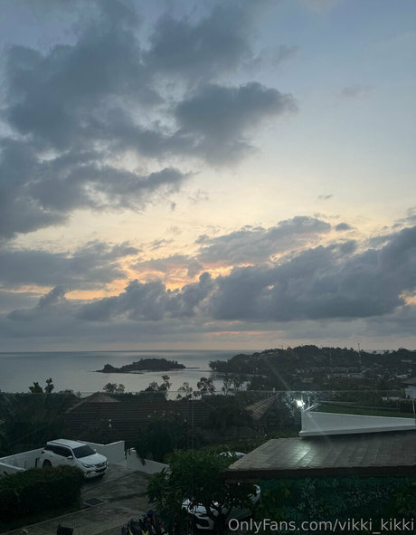 Iamvirtuallady photo 12