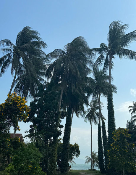 Iamvirtuallady photo 19