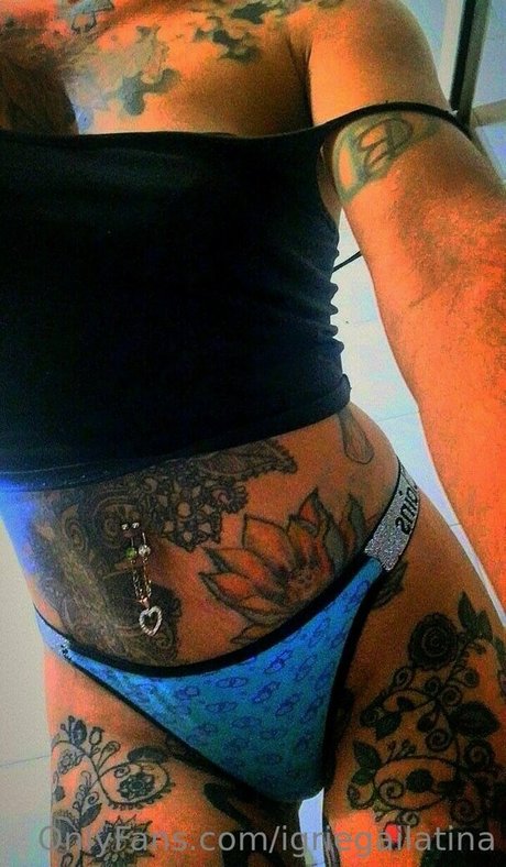 Igriegailatina photo 5