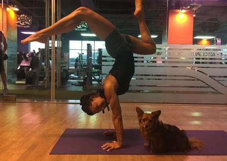 Iliza Shlesinger photo 155