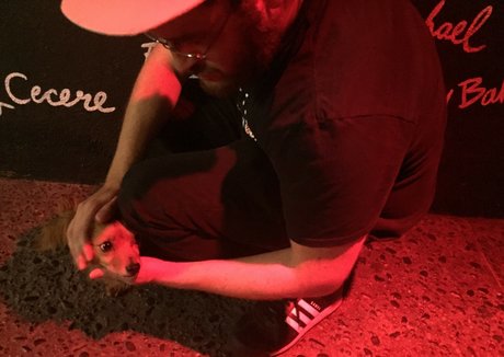 Iliza Shlesinger photo 203