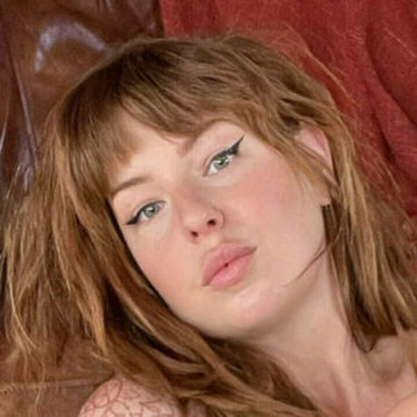 Indigojones photo 22