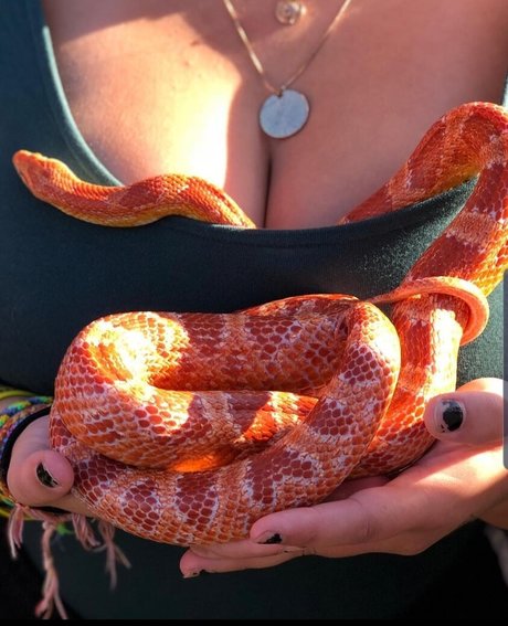 Isabellaell photo 10