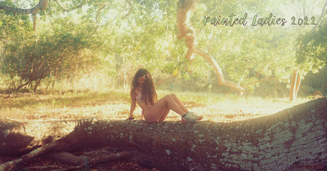 Issameg photo 83