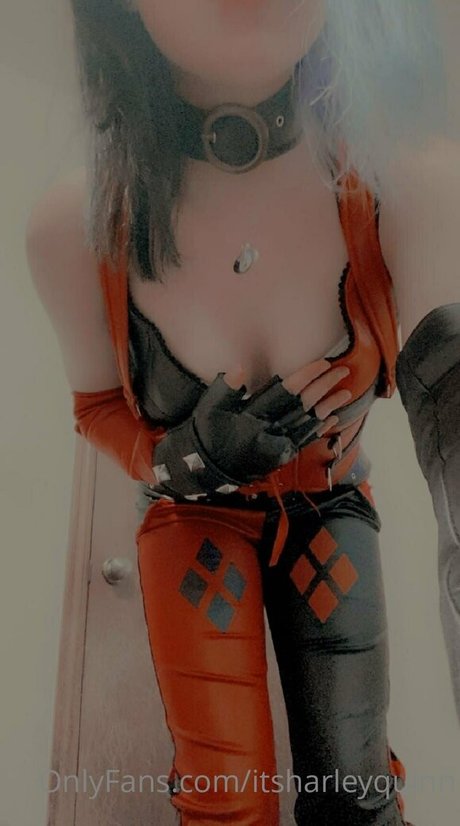 Itsharleyquinn photo 5