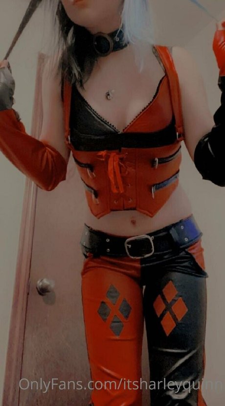 Profile photo of Itsharleyquinn