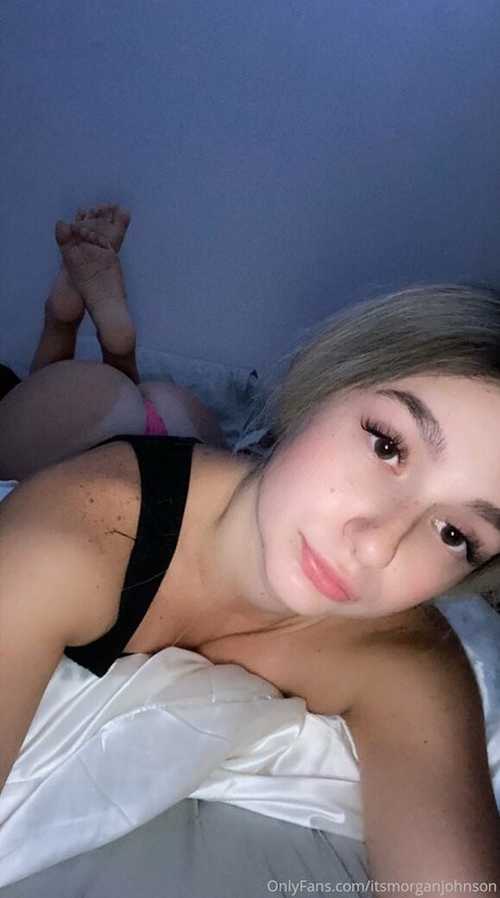 Morgie jo photo 63