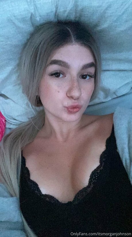 Morgie jo photo 85