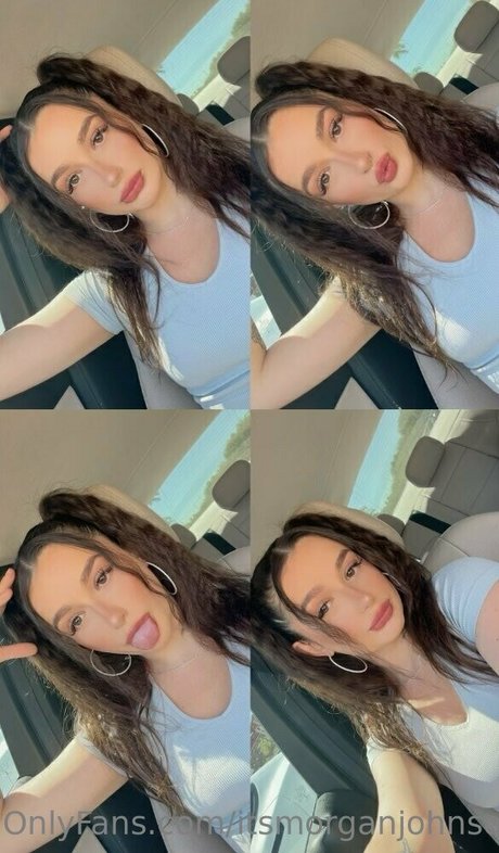 Morgie jo photo 157