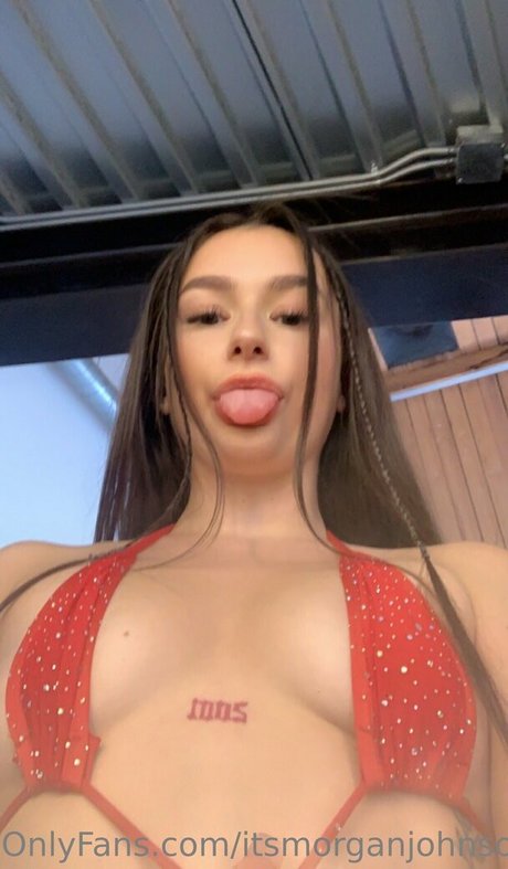 Morgie jo photo 178