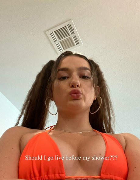 Morgie jo photo 185