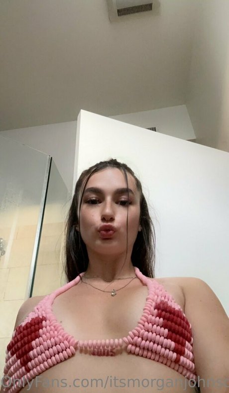 Morgie jo photo 308